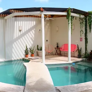 Pecarí Cancún